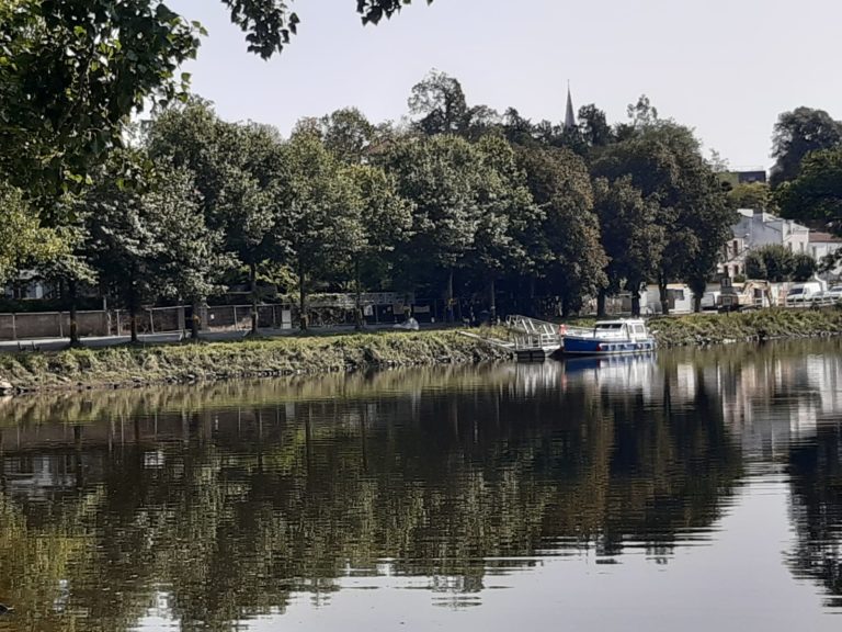 A Vertou, 16 arbres arbres sont menacés d’abattage par le projet d’aménagement “Demain la Sèvre”