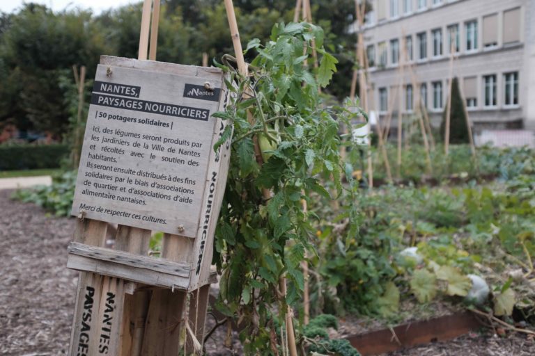 Les potagers solidaires de la ville de Nantes