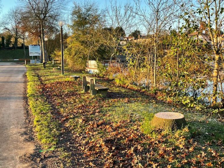 A Vertou, le maire coupe les arbres